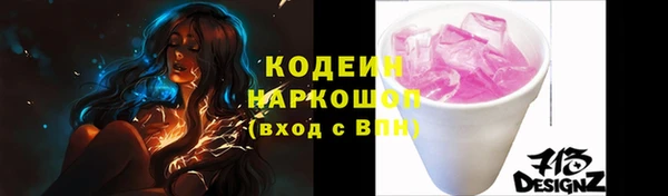 спиды Каменка