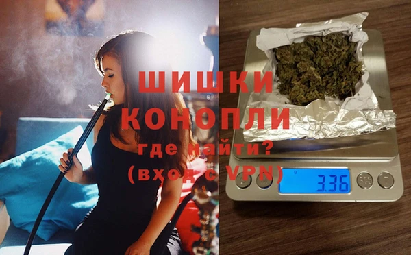 спиды Каменка