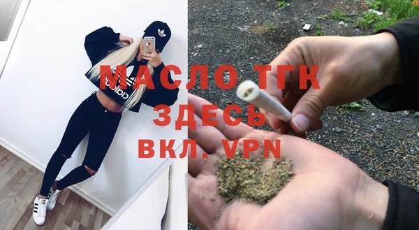 спиды Каменка