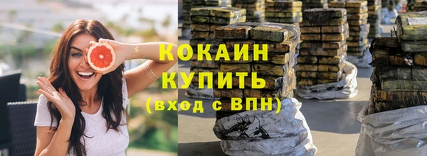 спиды Каменка