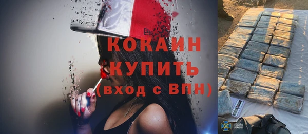 спиды Каменка