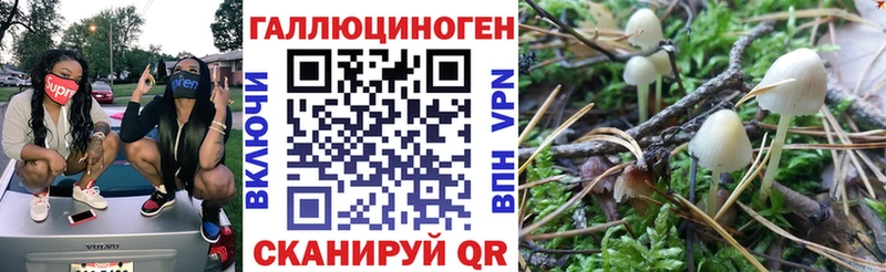 Псилоцибиновые грибы MAGIC MUSHROOMS  Купить закладки  Полевской 